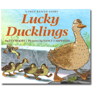 Lucky-Ducklings